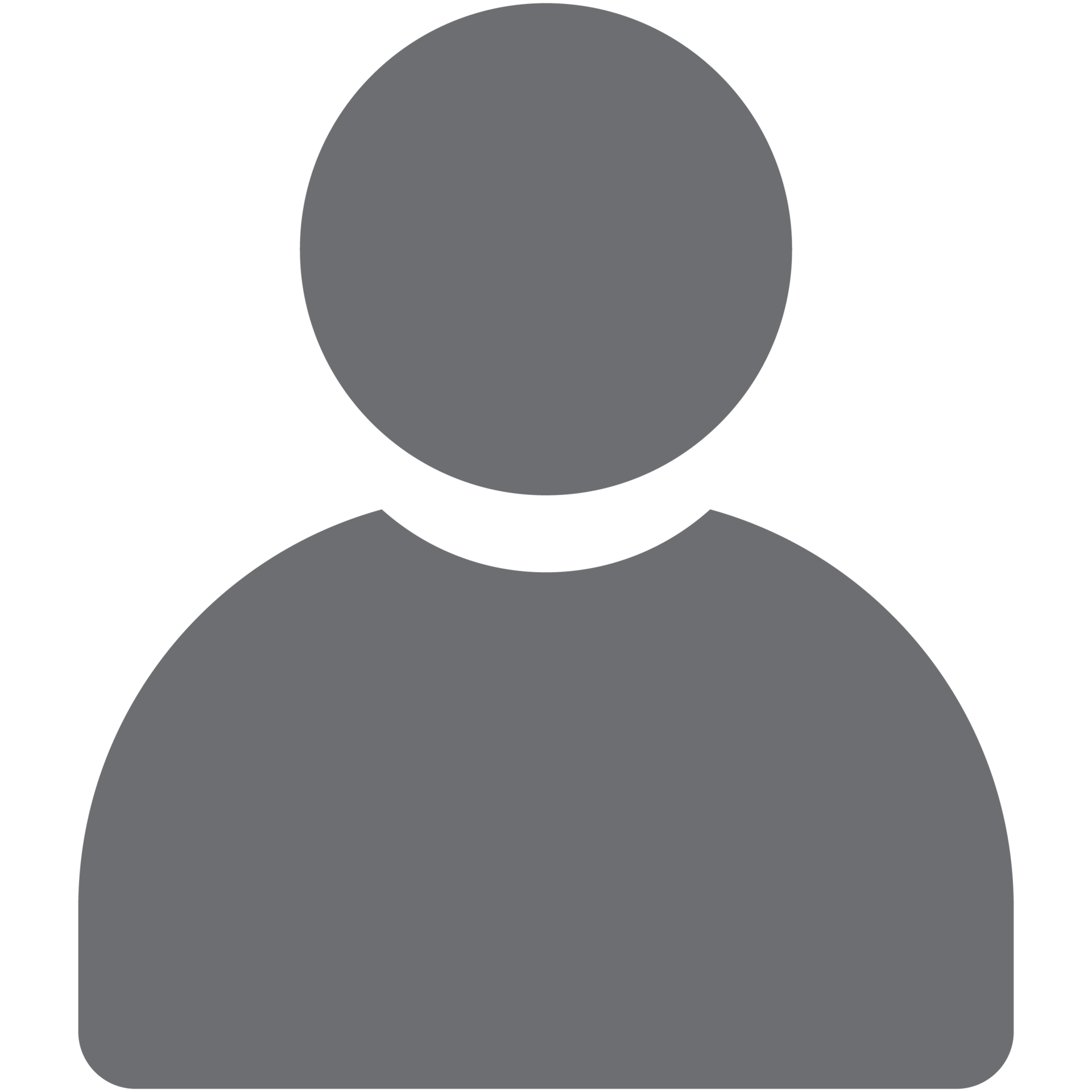 Ritratto del presidente